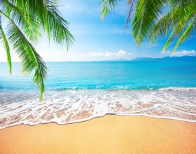 Пальмы пляж