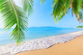 пляж пальмы