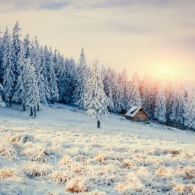 пейзаж зима