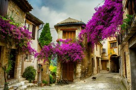 дом с фиолетовыми цветами