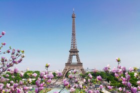 эйфелева башня с цветами