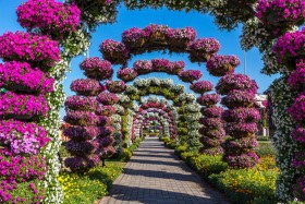 цветочная арка