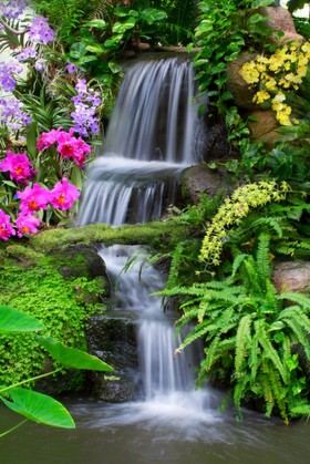 водопад с цветами