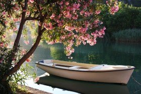 лодка, дерево