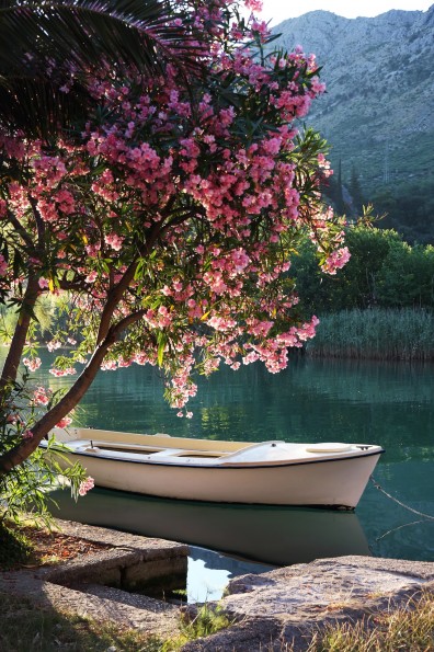 лодка, дерево