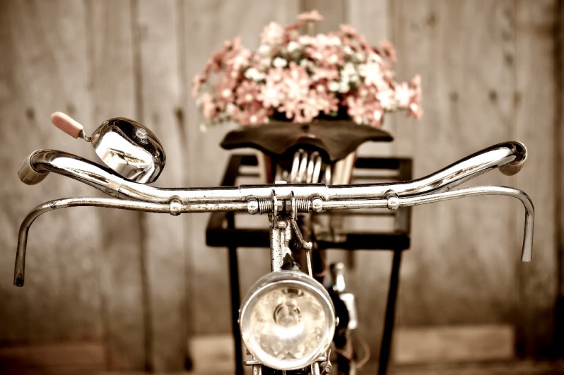 велосипед, цветы