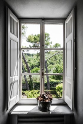 окно с видом на сад