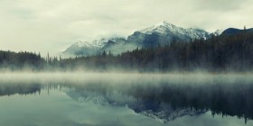 лес туманный панорама
