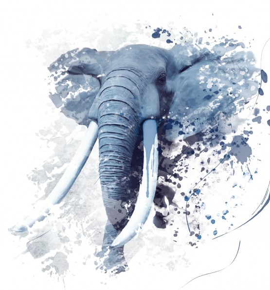 слон нарисованный